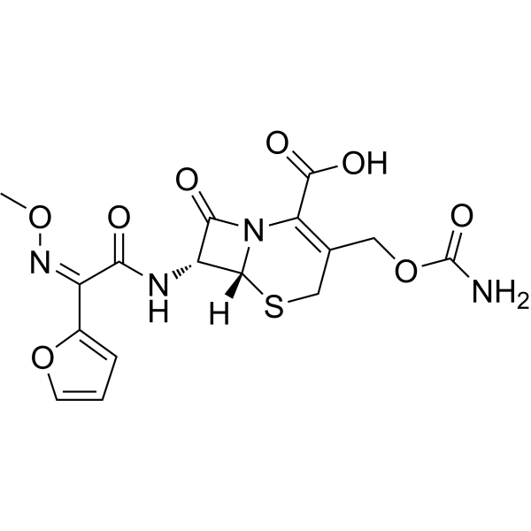 CefuroximeͼƬ