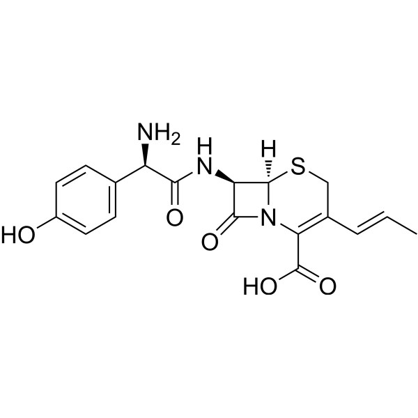 CefprozilͼƬ