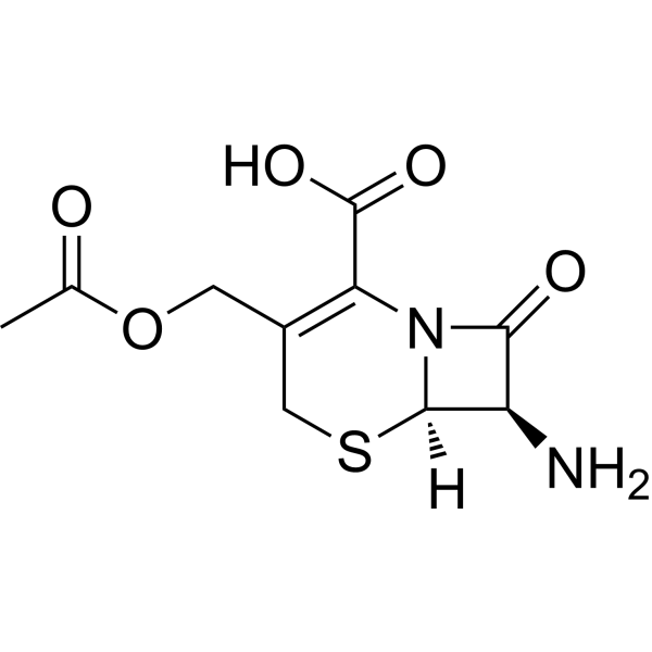 7-Aminocephalosporanic acidͼƬ