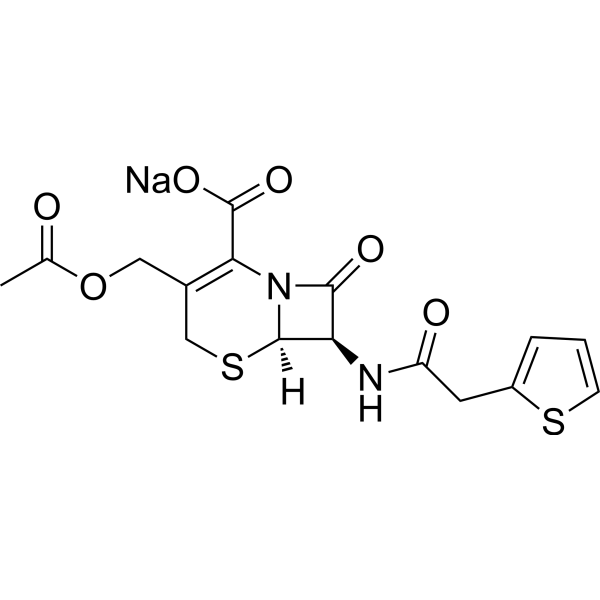 Cephalothin sodiumͼƬ