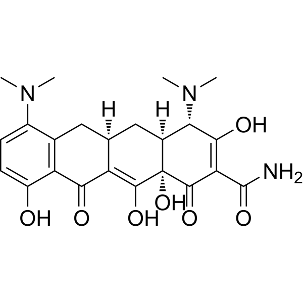 MinocyclineͼƬ