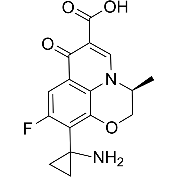 PazufloxacinͼƬ