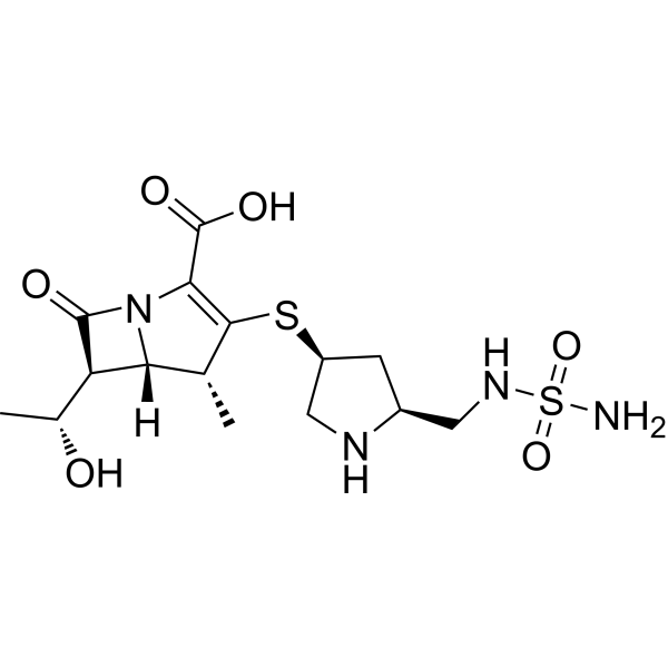 Doripenem图片