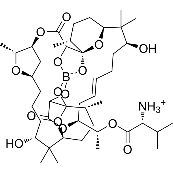 BoromycinͼƬ