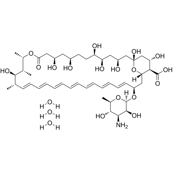 Amphotericin B trihydrateͼƬ