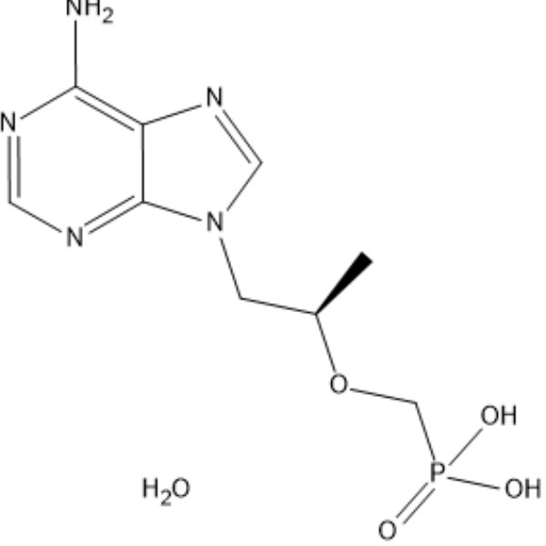 Tenofovir hydrateͼƬ