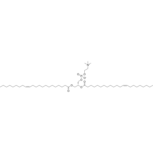 1,2-Dierucoyl-sn-glycero-3-phosphocholineͼƬ