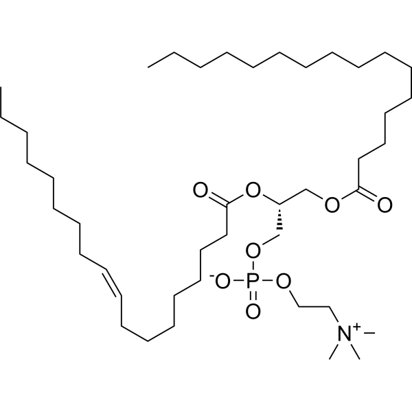 1-Palmitoyl-2-oleoyl-sn-glycero-3-PCͼƬ