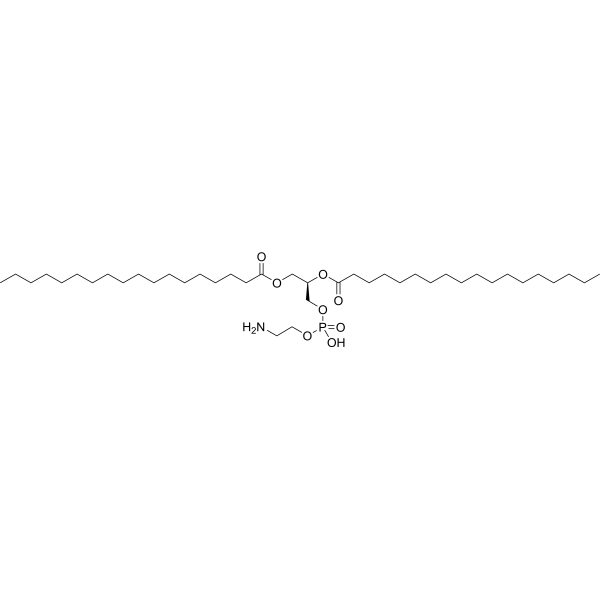 1,2-Distearoyl-sn-glycero-3-phosphorylethanolamineͼƬ