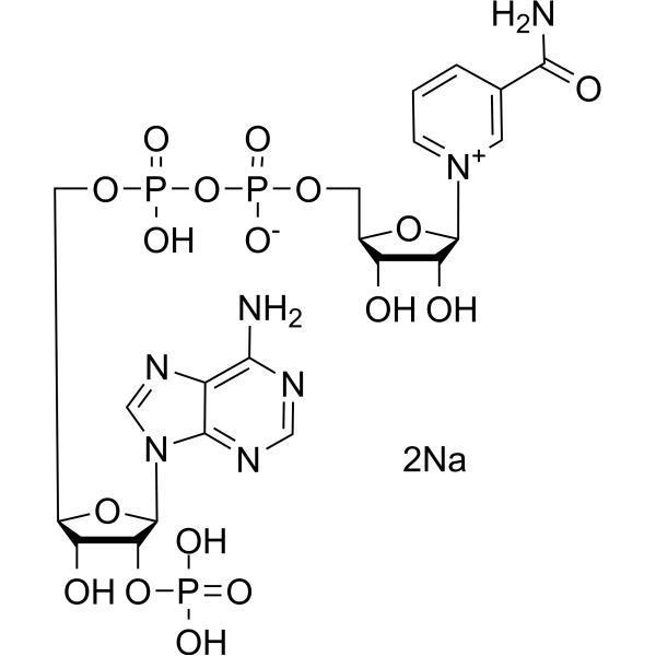 NADP disodium saltͼƬ