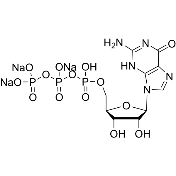 Guanosine 5'-triphosphate trisodium saltͼƬ