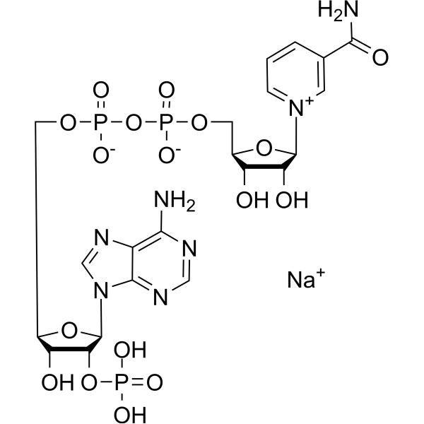 NADP sodium salt图片