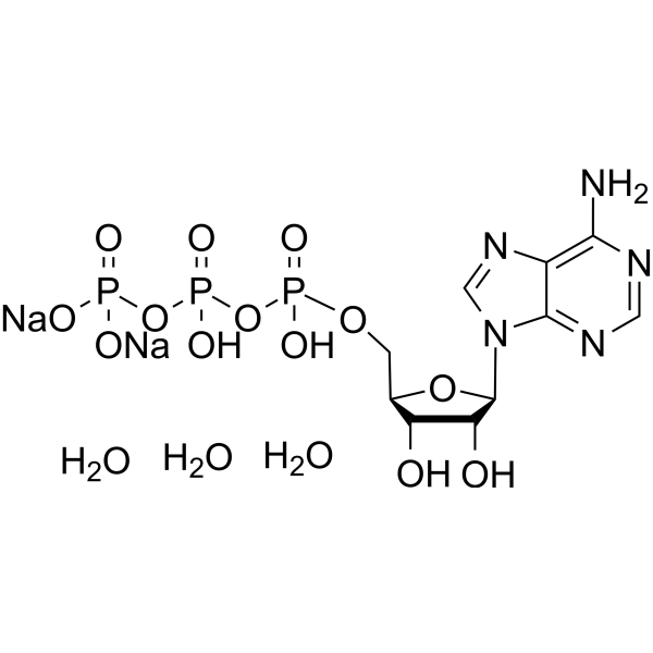 ATP disodium trihydrateͼƬ