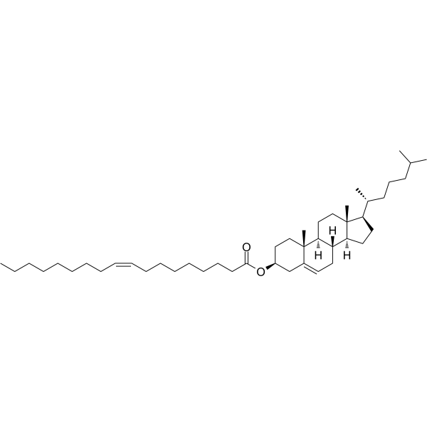 Cholesteryl oleateͼƬ