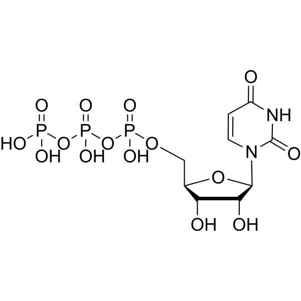 Uridine triphosphateͼƬ