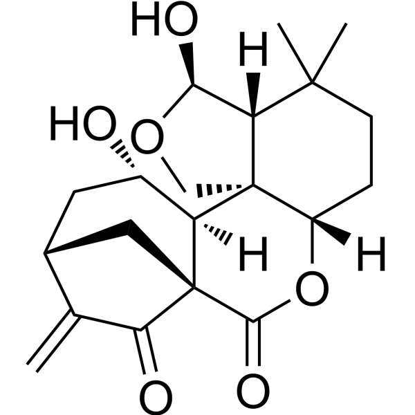 EpinodosinͼƬ