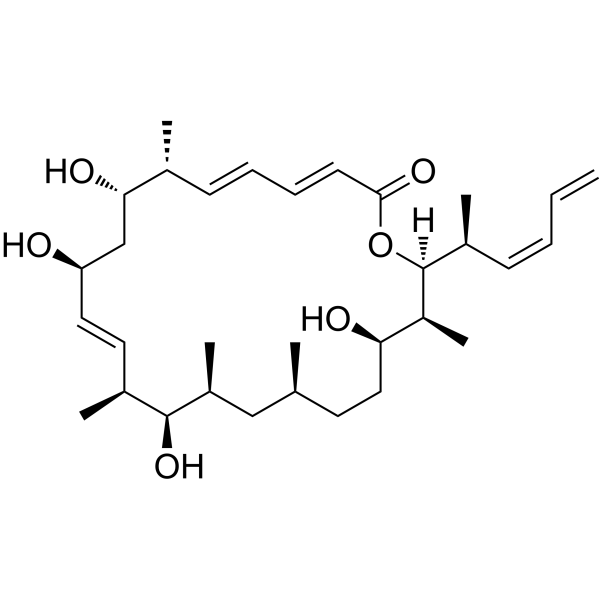 DictyostatinͼƬ