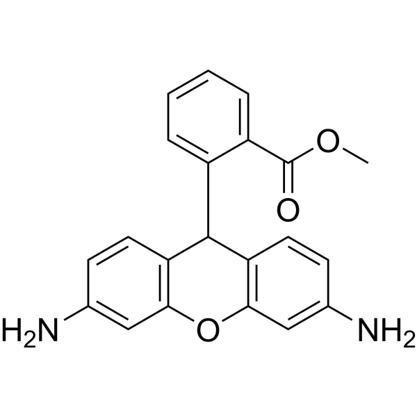 Dihydrorhodamine 123ͼƬ