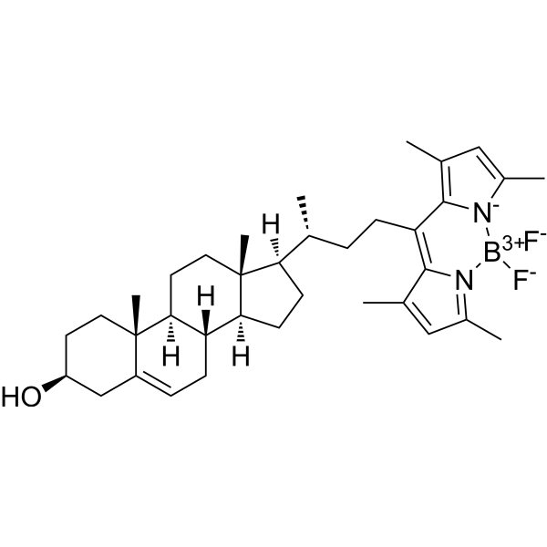 BODIPY-Cholesterol图片