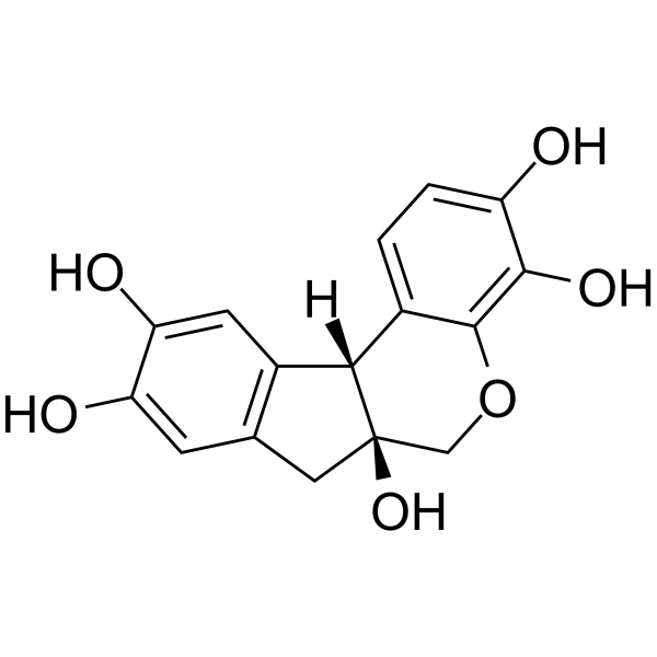 HematoxylinͼƬ