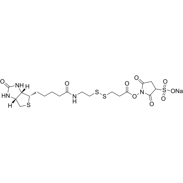 Sulfo-NHS-SS-Biotin sodiumͼƬ