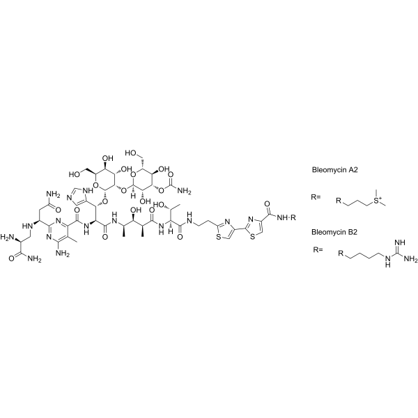 BleomycinͼƬ