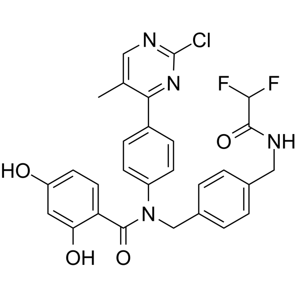 VER-246608ͼƬ