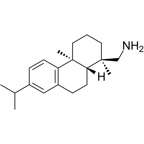 LeelamineͼƬ