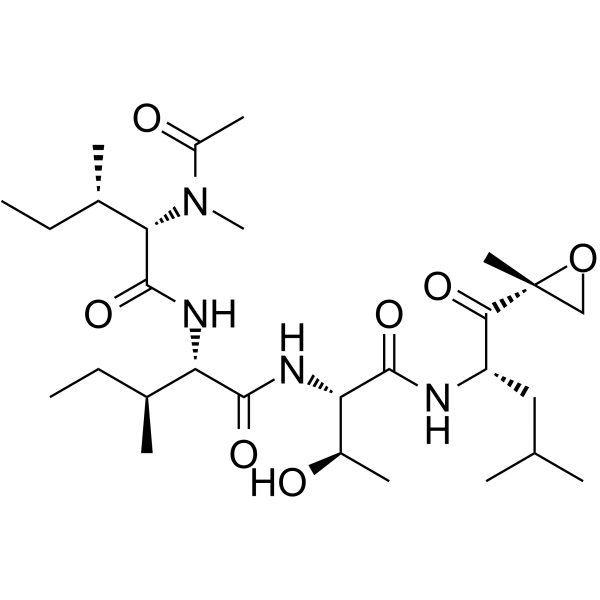 EpoxomicinͼƬ