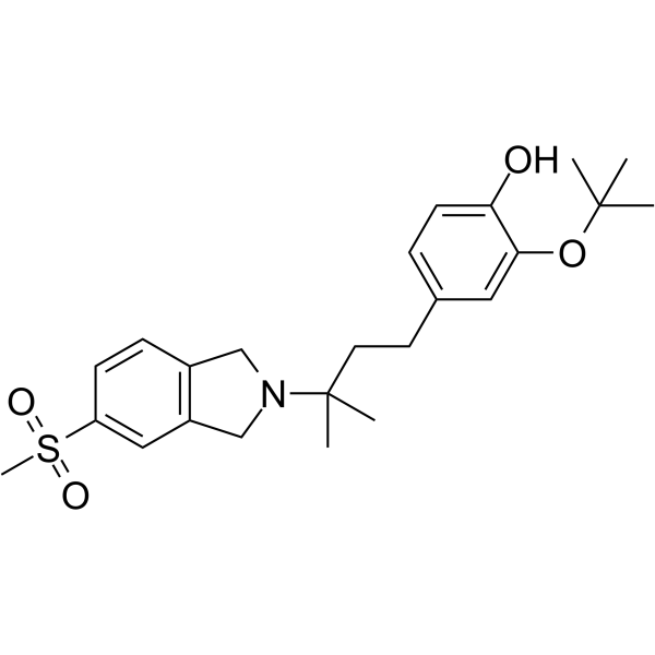 CT1812ͼƬ