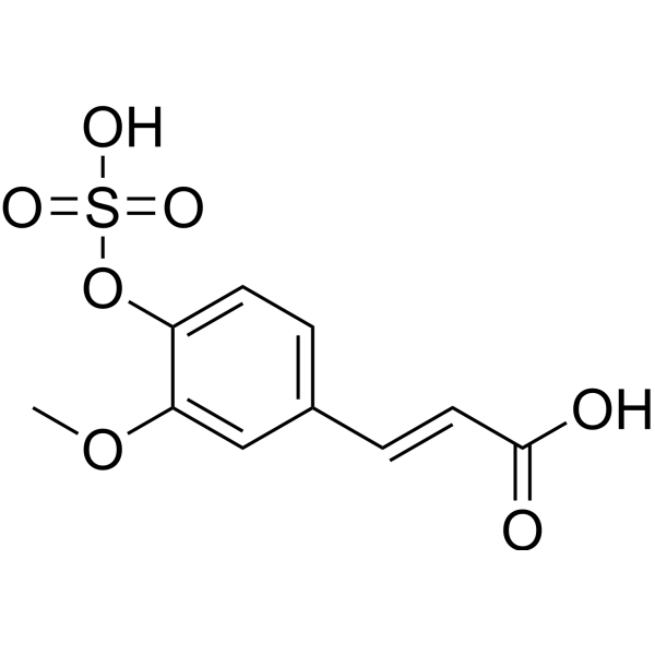 Ferulic acid 4-O-sulfateͼƬ