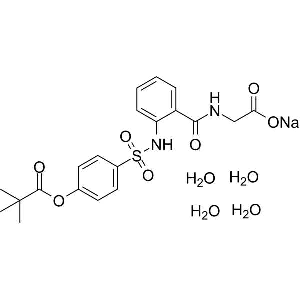 Sivelestat sodium tetrahydrateͼƬ