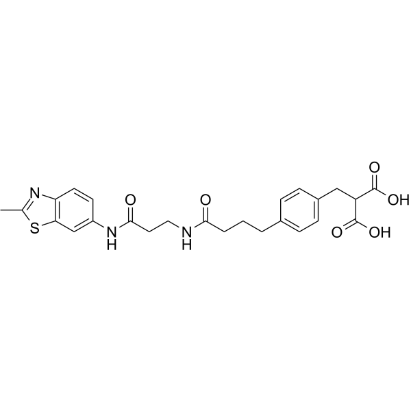 LDHA-IN-4ͼƬ