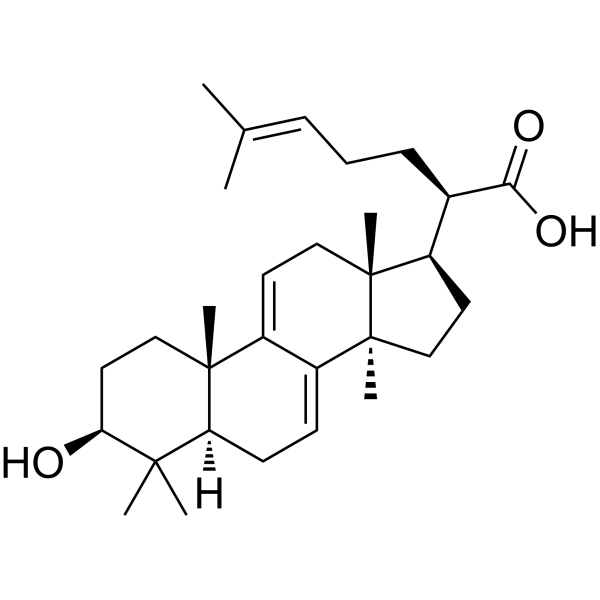 3-Dehydrotrametenolic acid图片