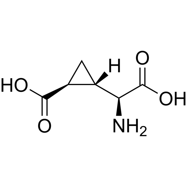 L-CCG-IͼƬ