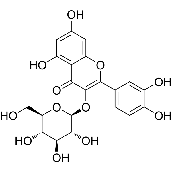 IsoquercetinͼƬ