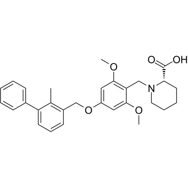 BMS-1ͼƬ