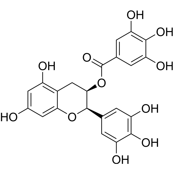 (-)-Epigallocatechin Gallate图片