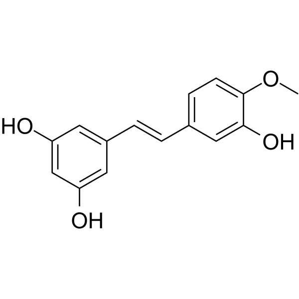 RhapontigeninͼƬ