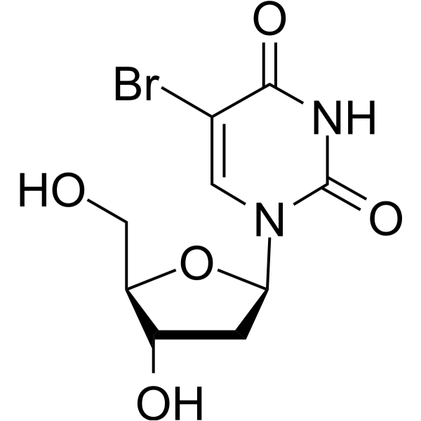 5-BrdUͼƬ