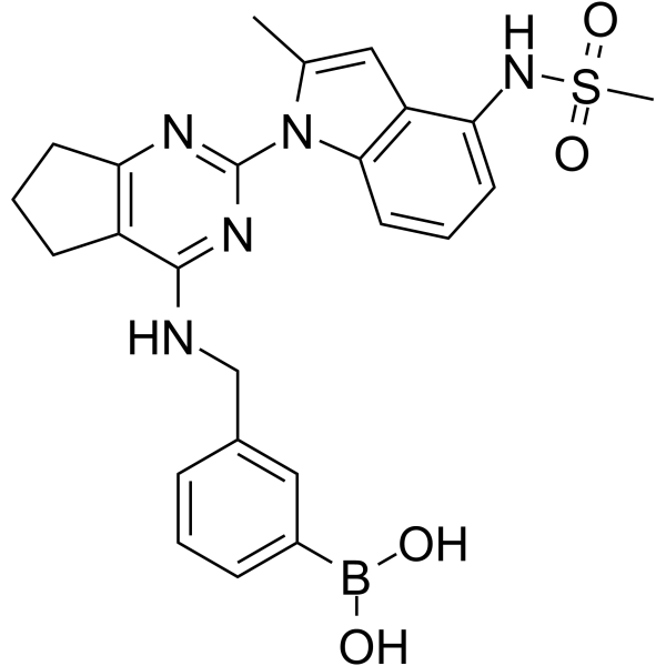 VCP/p97 inhibitor-1ͼƬ