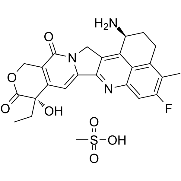 Exatecan MesylateͼƬ