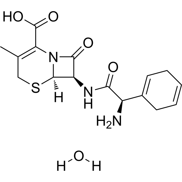 Cephradine monohydrate图片