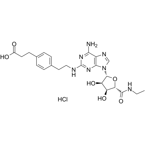 CGS 21680 HydrochlorideͼƬ