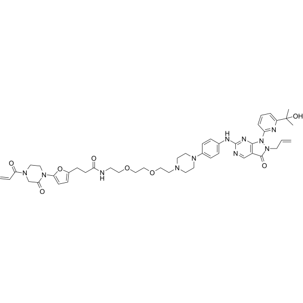 LEB-03-146ͼƬ