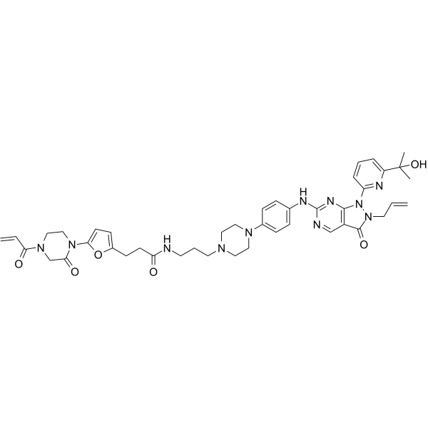 LEB-03-144ͼƬ