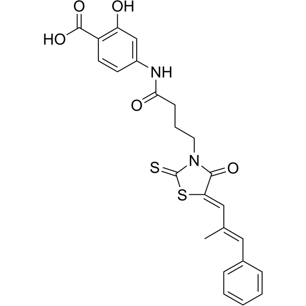 ML 145图片