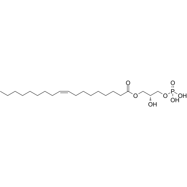 1-Oleoyl Lysophosphatidic Acid图片