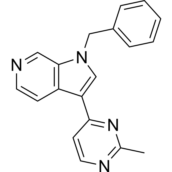 AZ-Dyrk1B-33ͼƬ