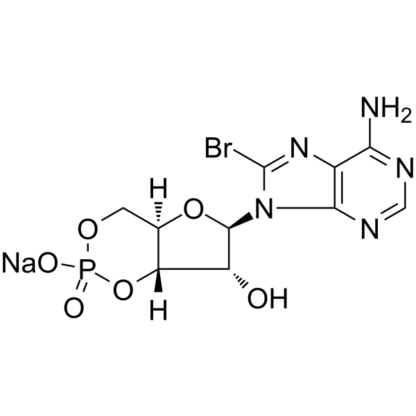 8-Bromo-cAMP sodium saltͼƬ